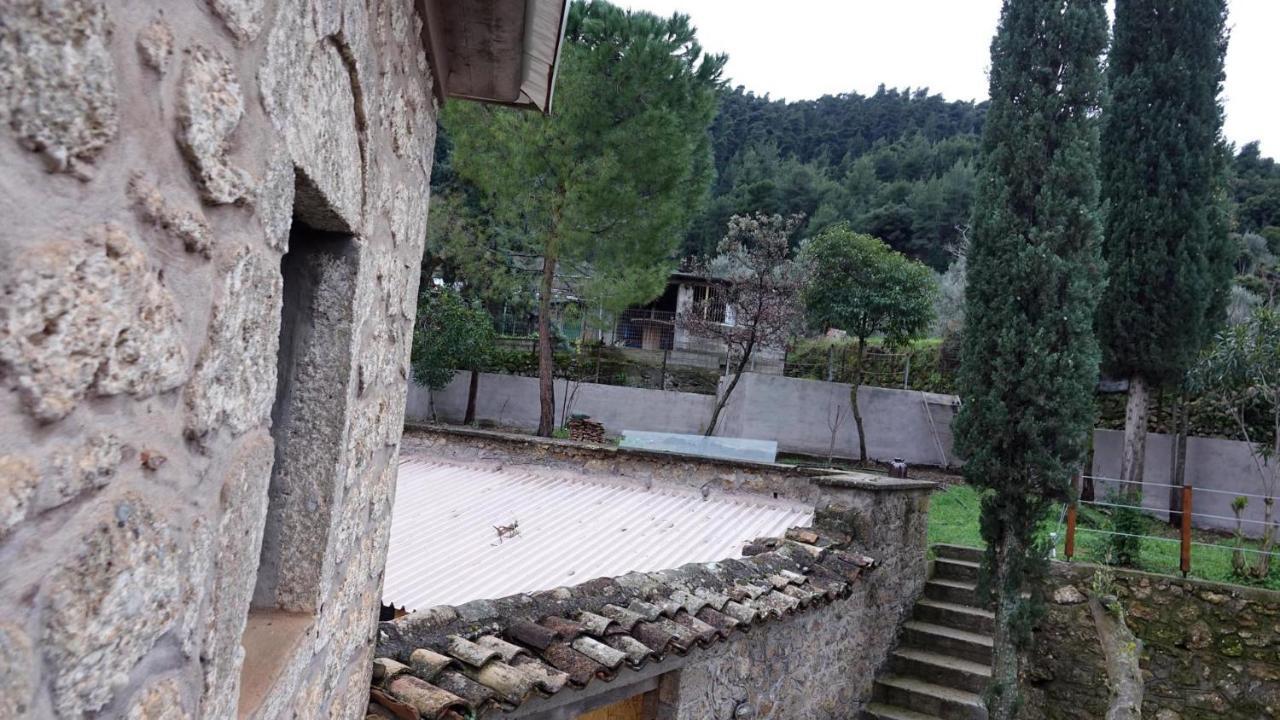 The Old Olive Mill House Aegae Exterior foto